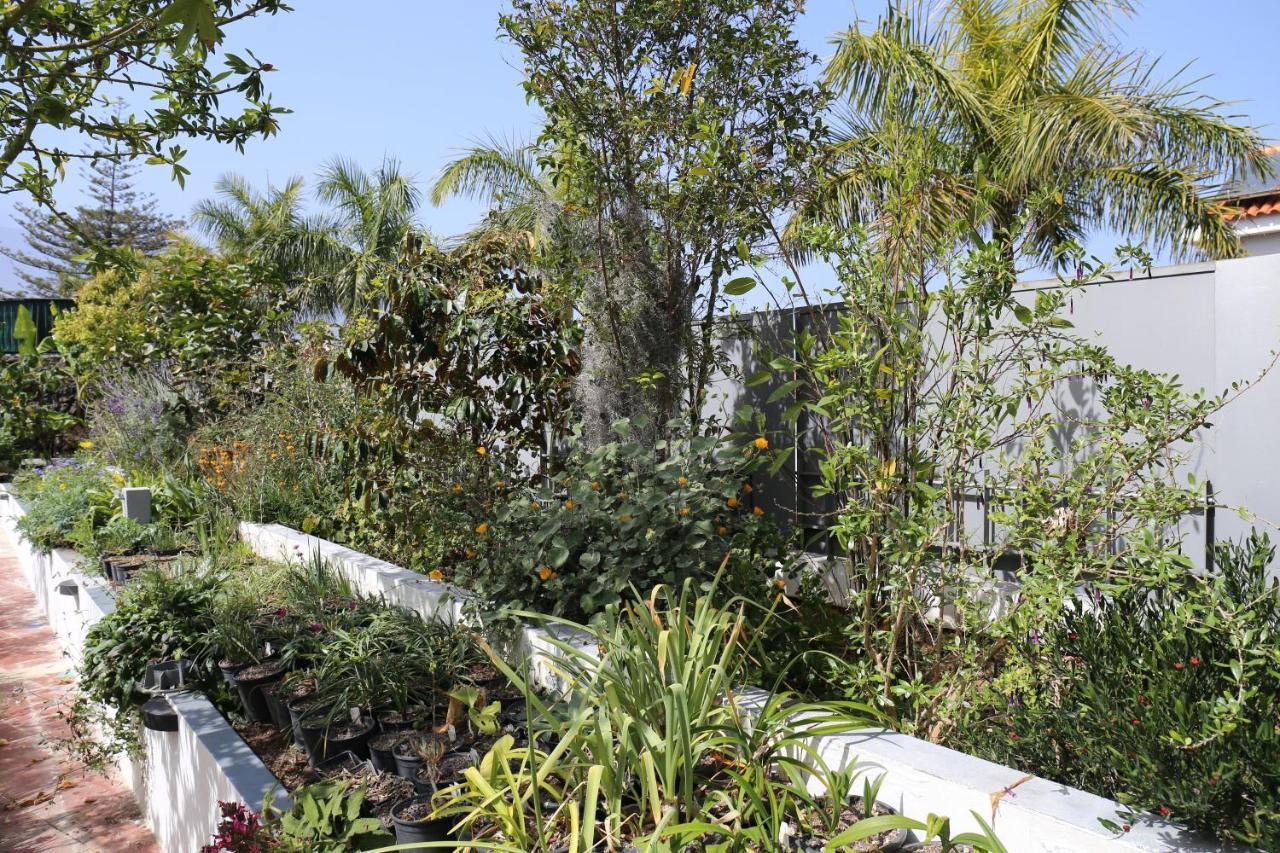 Jungle Paradise La Orotava Exterior foto